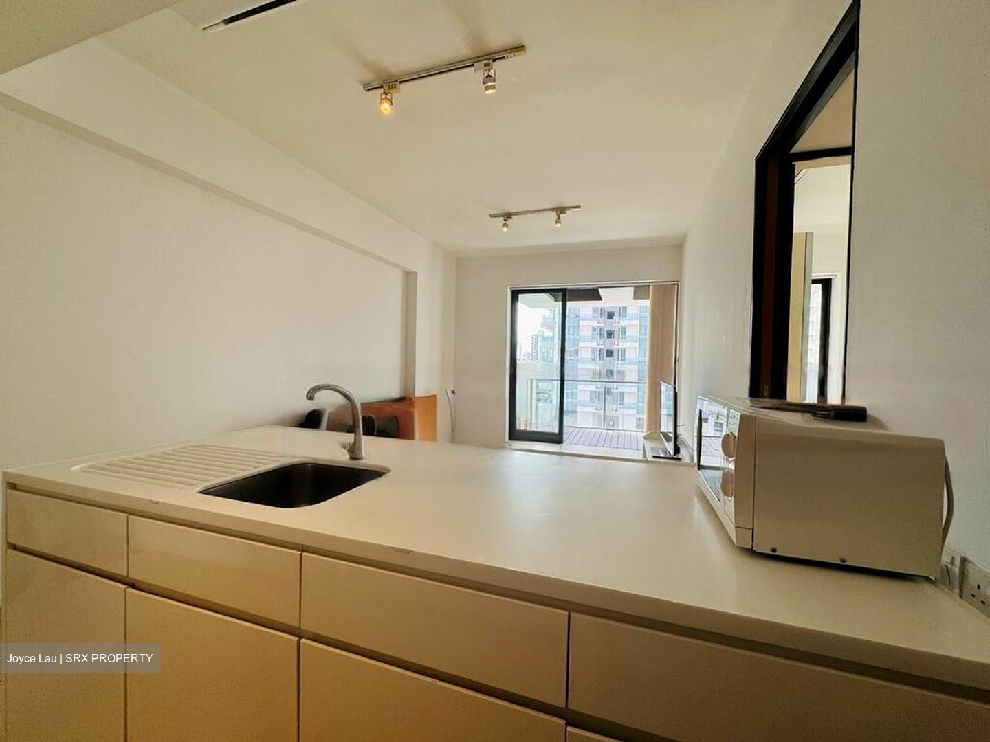 Newton Suites (D11), Apartment #576362111